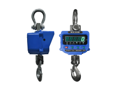 Весы крановые электронные ВСК